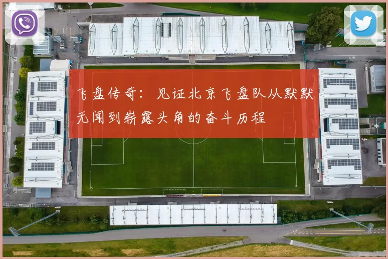 飞盘传奇：见证北京飞盘队从默默无闻到崭露头角的奋斗历程