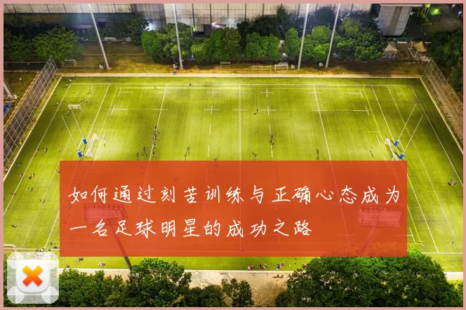 如何通过刻苦训练与正确心态成为一名足球明星的成功之路