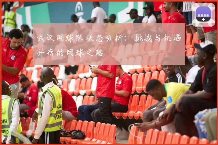 武汉网球队状态分析：挑战与机遇并存的网球之路