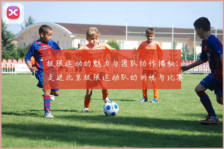 极限运动的魅力与团队协作揭秘：走进北京极限运动队的训练与比赛