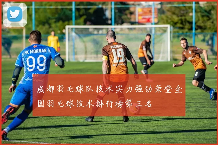 成都羽毛球队技术实力强劲荣登全国羽毛球技术排行榜第三名