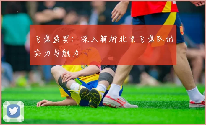 飞盘盛宴：深入解析北京飞盘队的实力与魅力