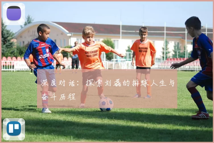 深度对话：探索刘磊的排球人生与奋斗历程