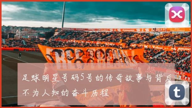 足球明星号码5号的传奇故事与背后不为人知的奋斗历程