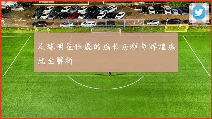 足球明星伍磊的成长历程与辉煌成就全解析